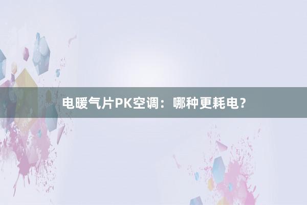 电暖气片PK空调：哪种更耗电？